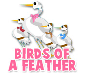 Herunterladen Birds of a Feather Spiel
