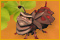 BugBits