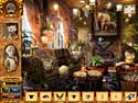 Dream Inn: Driftwood