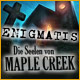 Herunterladen Enigmatis: Die Seelen von Maple Creek Spiel