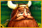 Im Land der Wikinger