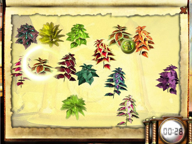 Spiele Kostenlose