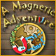 A Magnetic Adventure