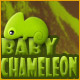 Download Baby Chameleon