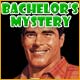 Download Bachelor's Mystery