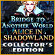 free download Bridge to Another World: Alice in Shadowland Collector's Edition game