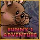 Download Bunny's Adventure