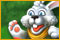 Bunny Quest