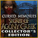 Cursed Memories: The Secret of Agony Creek Collector's Edition