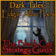 Dark Tales: ™ Edgar Allan Poe's The Black Cat Strategy Guide