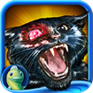 Dark Tales: Edgar Allan Poe's The Black Cat Collector's Edition