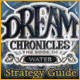 Dream Chronicles: Book of Water Strategy Guide