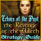 Echoes of the Past: The Revenge of the Witch Strategy Guide