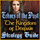 Echoes of the Past: The Kingdom of Despair Strategy Guide