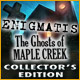 Enigmatis: The Ghosts of Maple Creek Collector's Edition