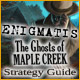 Enigmatis: The Ghosts of Maple Creek Strategy Guide