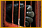 Explorer: Contraband Mystery