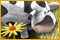 free download Farm Fables game