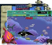 free download Feeding Frenzy game