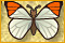Play Flying Patterns