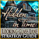 Hidden in Time: Looking-glass Lane Strategy Guide