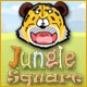 Jungle Square
