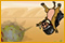 Kaban Steeplechase
