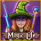 free download Magic Life game