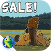 Spring Sale!