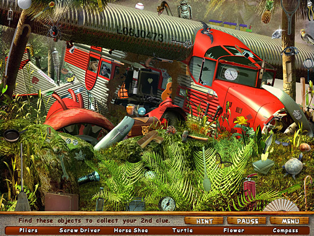 Hidden Object Images