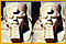 Play Photo Frenzy