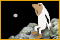 Samorost 1