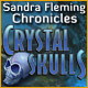 Sandra Fleming Chronicles: Crystal Skulls