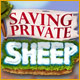 Saving Private Sheep