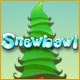 Snowbowl - Online
