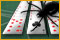 SpiderMania Solitaire download full version