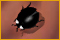 Play Tailtag