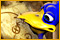 The Golden Path of Plumeboom