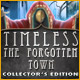 Timeless: The Forgotten Town Collector's Edition