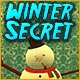 Winter Secret