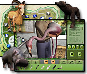 Zoo Vet