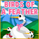 Descargar Birds of a Feather Juego