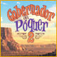 Gobernador del Póquer 2