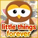 Little Things Forever