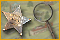 Mystery Case Files: Huntsville &trade;