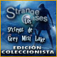 Strange Cases: Los Secretos de Grey Mist Lake Edición Coleccionista