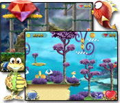 Turtle Odyssey