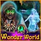 Descargar Wonder World