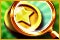 100% Objets Cach&eacute;s