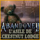 Abandoned: L'Asile de Chestnut Lodge